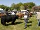 thumbnail 465 --9507.jpg